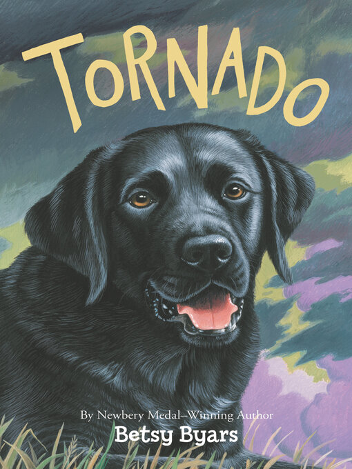 Title details for Tornado by Betsy Byars - Wait list